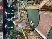 IMG 6706